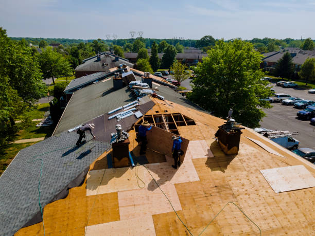 Trusted Roof Replacement service in Newcastle, NE - Brentwood Metal Roofing